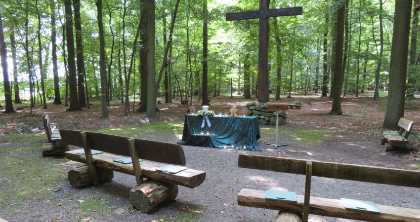 Blick auf den Ruhewald Hollwinkel in Preußisch Oldendorf