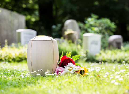Beige Urne mit buntem Blumenschmuck bei einer Feuerbestattung auf dem Friedhof in Warmsen